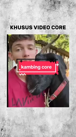 kambing core #fyp  #videocore #ngakakkocak #videolucu #indonesiacore 