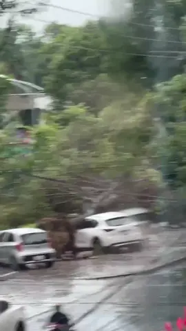 Bão về rồi 😭😭 chỗ mọi người ổn ko