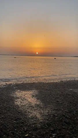 #susnetbeach #شعب_الصيني_ماله_حل😂😂 