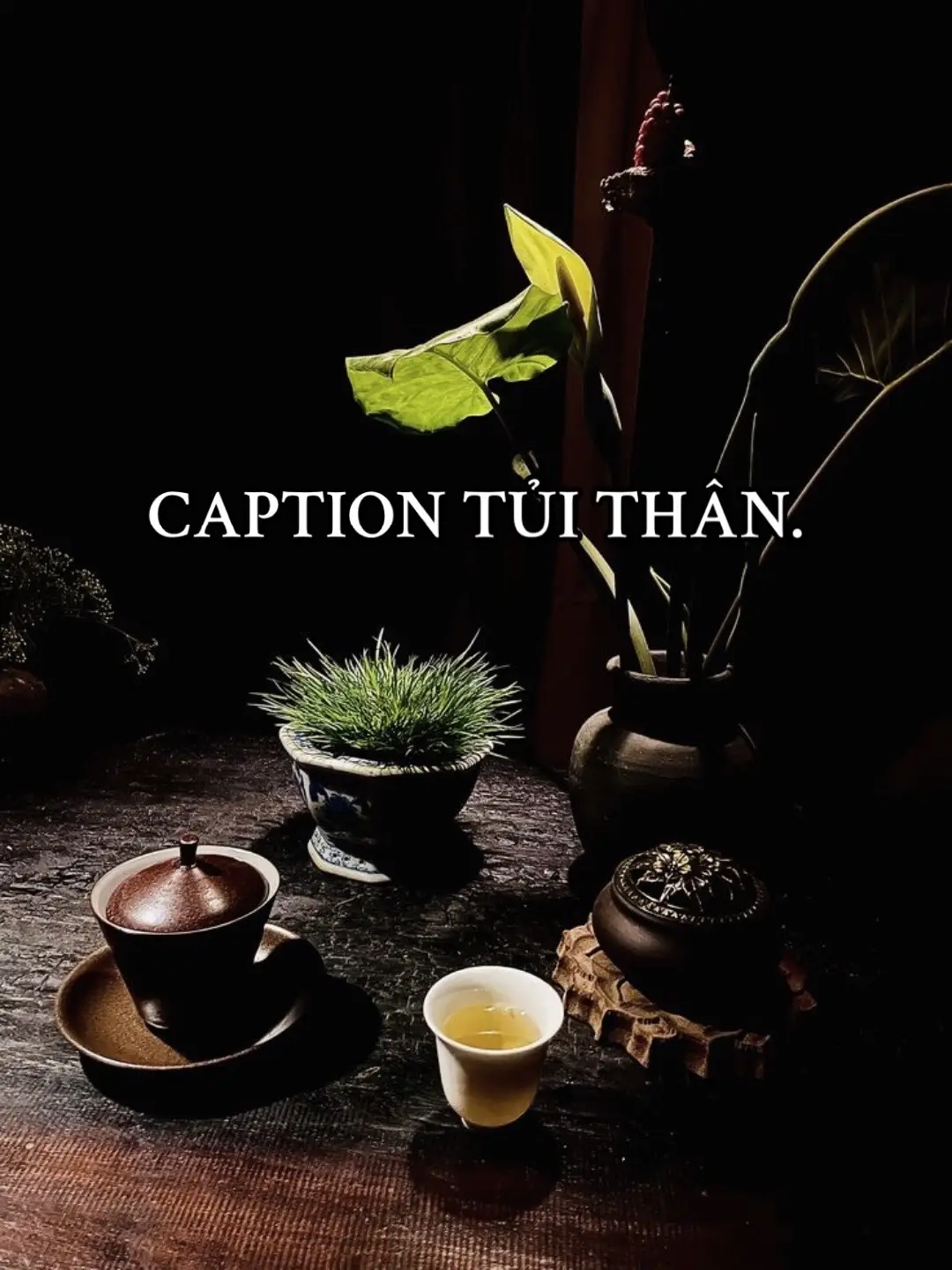 #captiontamtrang #caunoihay #sttbuon #xuhuong #thinhhanh 