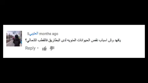 #فهد #برايم_فهد_سال #prime #fahad_sal #فهد_سال 