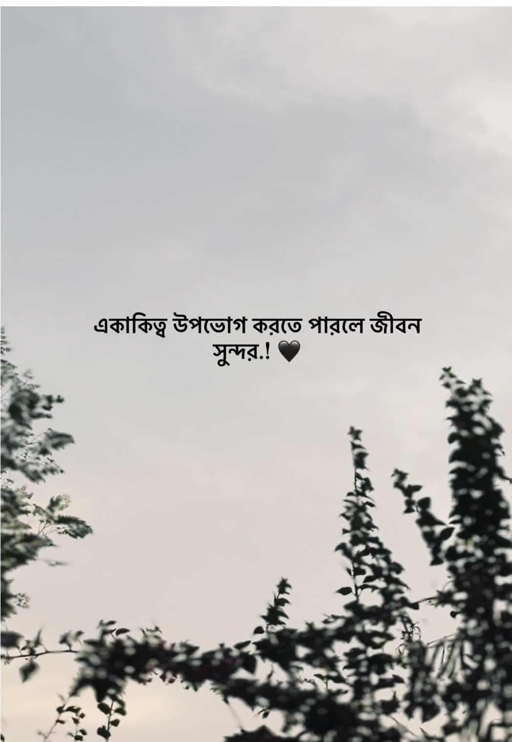 একাকিত্ব উপভোগ করতে পারলে জীবন সুন্দর.! 🖤 #siyam____bro #capcut #foryou #bdtiktokofficial🇧🇩 @TikTok 