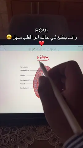 لا تفكروني بدرس والله معطل أنا 🙂🤣🤣🤣#جامعة_الاسكندرية #كليه_الطب #الدكتور_تامر_طميزة #kidney #viewsproblem 