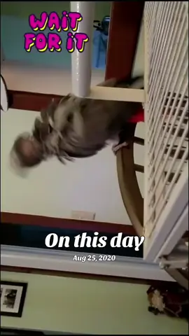 #onthisday