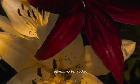Bir Bakmışsın - Yalın // bu sarkinin havasi falan tam kendini degerli goren kiz erasi gibi hissettiriyor 🫠🙆🏻‍♀️🤍 #lyrics #songs #birbakmışsın #yalın 