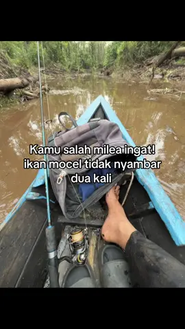 Tapi ini tidak tentang ikan #kesting #kestingtoman #quotespemancing🎣 #anglerindonesia 
