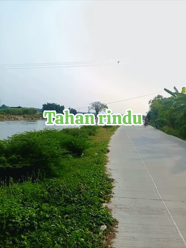 tahan rindu  #kampung #ldr #rindu #kangen 