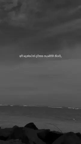 🥺🫶💐💗 #srilanka #trending #wadan #Love 