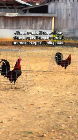 Arasssah #fypシ゚ #masukberandafyp #katakata #maduraviral #bismillahfyp 