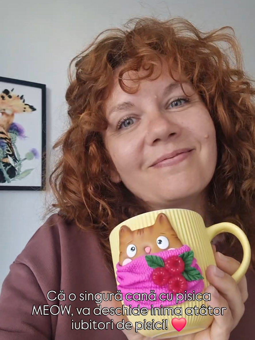 Dintr-o idee timidă și o încercare curioasă, s-a născut acum un an, una dintre cele mai iubite creații Lionbox. ❤️ #fyp #meow #pisici #canacupisica #lionbox 