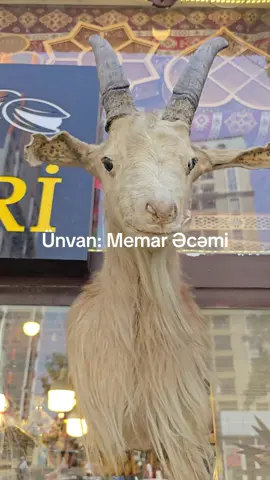 Ünvan: Memar Əcəmi  Səhər saat 9:00 dan gecə saat 21:00 kimi açıqdlr. Hər çeşid bitki və çərəzlər var. İzləycilərmizə xususi ENDİRİM var