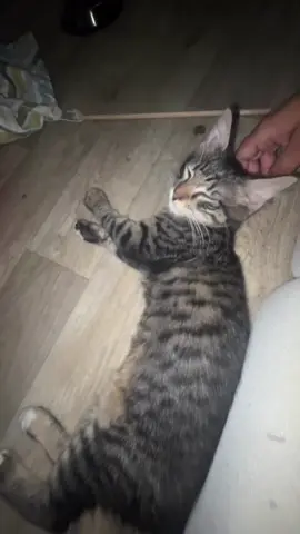 💕
