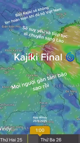 #apthapnhietdoi #bao #windy #xuhuongtiktok #fyp 