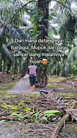 petani bahagianya simple😁 #mupuksawit   #petanisawit #petaniindonesia🇮🇩🇮🇩🇮🇩🌿🌿 #sawitontiktok #fyp 
