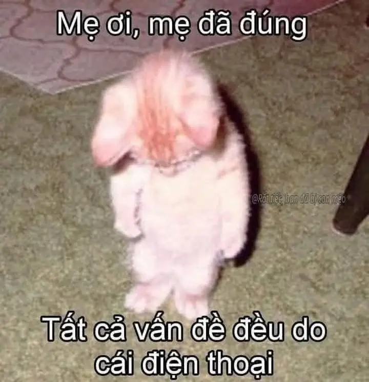 tất cả là tại nó😔 #hoathanhque #36 #lienquanmobile 
