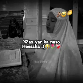 hal qof lawadag 😭❤️‍🩹 ...#madoowe🌚🤤 #madoowe🌚🤤 #madoowe🌚🤤 #madoowe🌚🤤 