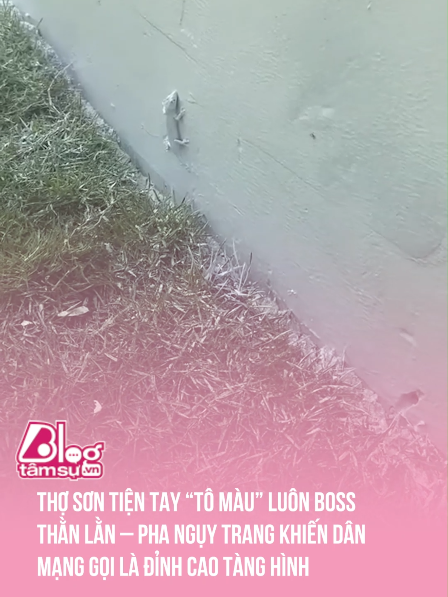 Thằn lằn: 