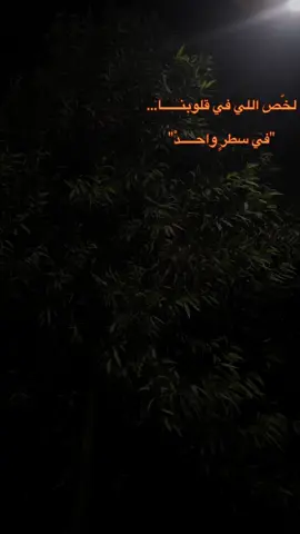 ياسين التهامي…. ياحبيبي لم اتمني البكاء يوماً  #فوتوغرافي #ثاندرو #تصويري📷 #سطر #البلينا 