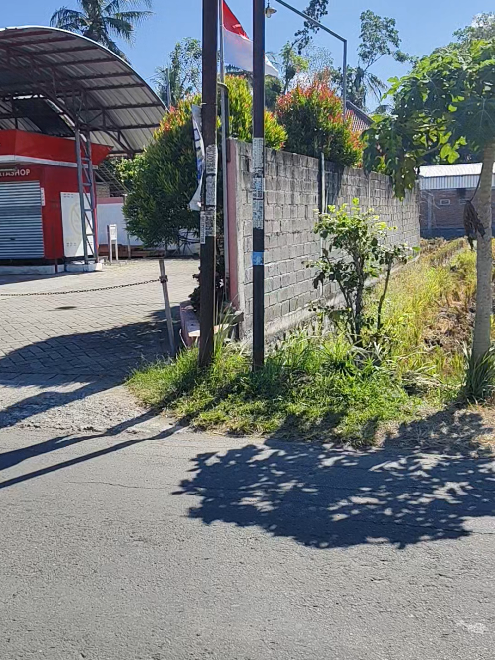 tanah murah luas 90 ru di beli separo  boleh per ru 12,5 jt krandekan Gandusari muka 25 m  #andimas #property #trenggalek #fyp #085259854670 