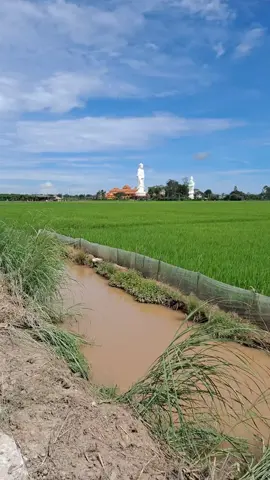Chùa Núi Nổi ở Tân Châu, An Giang#chuanuinoitanchauangiang #mientay 