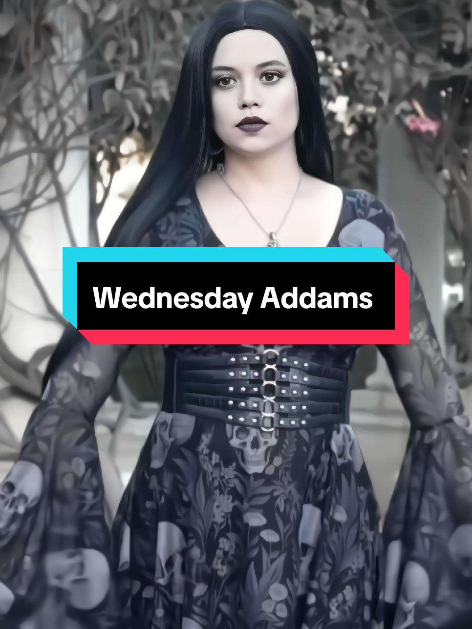 Wednesday Addams is a dark, witty, and intelligent young girl from the famous Addams Family. She is best known for her pale skin, long black braided hair, and gothic fashion sense—usually dressed in a black dress with a white collar. Unlike most children, Wednesday is fascinated by the macabre and finds joy in things others would consider creepy or unsettling. She has a sharp tongue, a dry sense of humor, and often speaks in a calm, emotionless tone, making her both intimidating and intriguing. Despite her cold and mysterious personality, Wednesday is clever, observant, and fiercely loyal to her family. She often challenges societal norms and expectations, preferring to embrace her individuality rather than fit in. Whether portrayed as a child or teenager, Wednesday Addams embodies the perfect mix of intelligence, darkness, and independence, making her one of the most iconic gothic characters in pop culture. #wednesday #wednesdayaddams #wednesdayvibes #Love 
