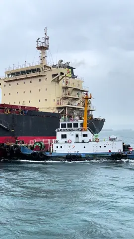 #harbourtug 