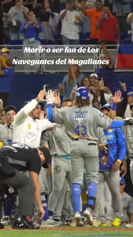 @Leones del Caracas🦁  #orgullovenezolano 