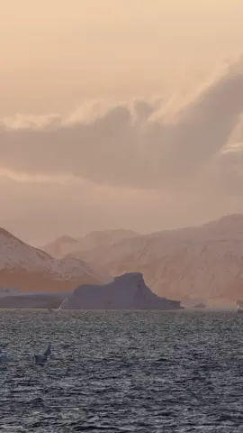 The Melting Majesty of Icebergs at Sunset #IcebergBeauty #NatureLovers