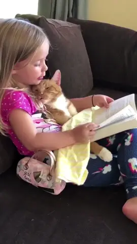 Cat love baby. 🥰🥰🥰#foryou #tiktok #kitten #fyp #cats #fypシ #Love 