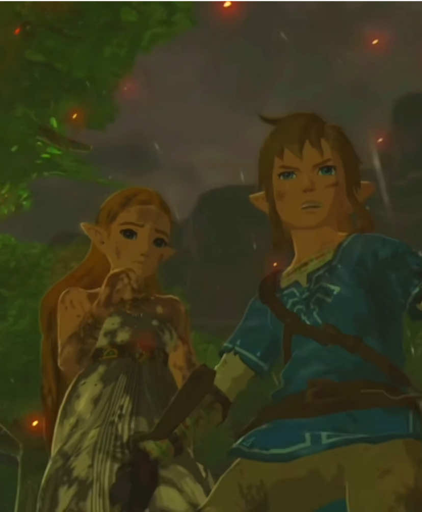 Ils resteront unis jusqu’à la fin… ##hyrulewarriorsageofcalamity##hyrulewarriors##zelda##tloz##thelegendofzelda
