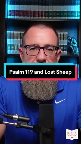 Psalm 119 and Lost Sheep - Psalm 119. Head to www.1517.org/oneyear for the reading guide and to catch up on previous posts from the Bible in One Year series. Happy Studying! #BibleinOneYear #Biblestudy #psalms #confession 