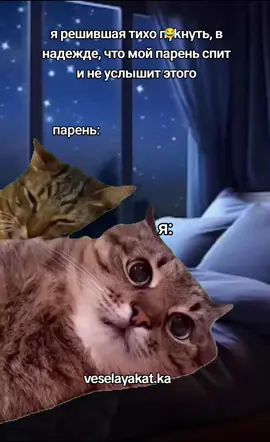 #viralvideo #смешно #мем #прикол #парень #отношениямужчинаиженщина #любовь #смешноевидео #мемас #смешное #fyp 
