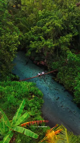 POV: You found a tropical paradise that no one told you about. Cr/ig: sfyanpdiman 📍 Banggai Island, South Sulawesi #POVTravel #BanggaiIslands #SouthSulawesi #WonderfulIndonesia #TropicalEscape
