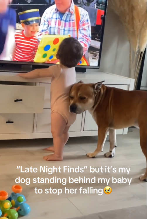 Dog love baby ❤️grow up together 🥰🥰#dog #pet #baby #Love #cute #bestfriend #lovestory #dogsoftiktok #foryou #usa🇺🇸 