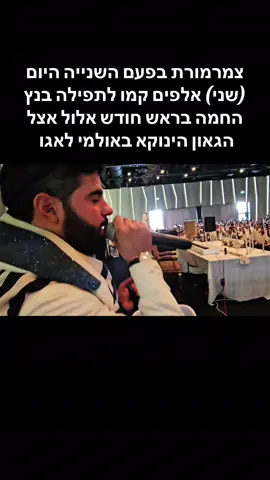 אלפים בלאגו אצל הגאון הינוקא #הינוקא 