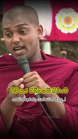 වීඩියක් බිව්වනම් බිව්වේ කඩෙන් අරන්ද යාළුවො දීලද..!🙏❤️ #බුදුසරණයි_හැමෝටම☸️♥️🙏 #Anushan #foryoupage #fyp #kathnoruwe_siridhamma_himi 