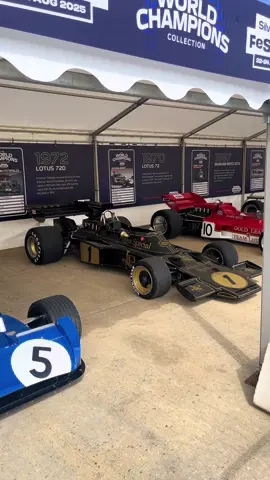 silverstone festival 2025 75 years of F1 😍😍 #F1 #ayrtonsenna #mclaren #lotus #silverstone 