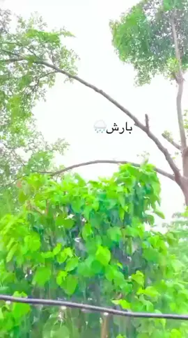 #*احساس کے ترجمے نہیں ھوتے۔۔!*🫠❤️‍🩹
 *انہیں صرف محسوس کیا جاتا ھے*🙂💔 Agree           *👉🏻Yes                     👉🏻A