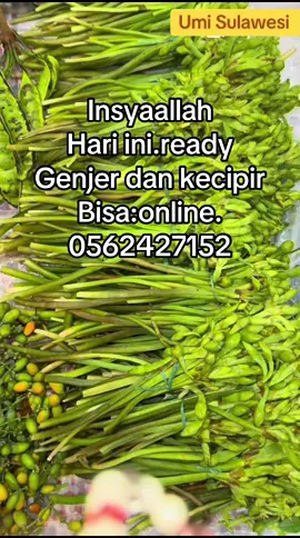 Bismillah.ready genjer #hadigahaziziyahjeddah #viralvideo #jeddah #fypage #fypシ゚ 