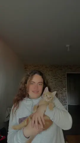 #pourtoii #fyp #chaton 