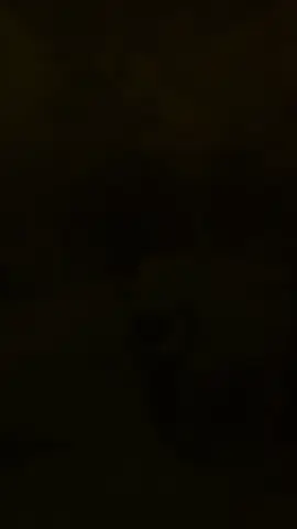 #CapCut 