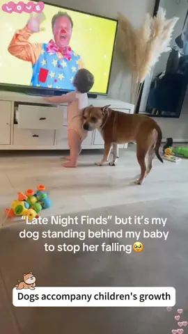 Dogs accompany children’s growth 💕💕😘#Love #lovestory #baby #dogs #dogsoftiktok #love #lovestory 