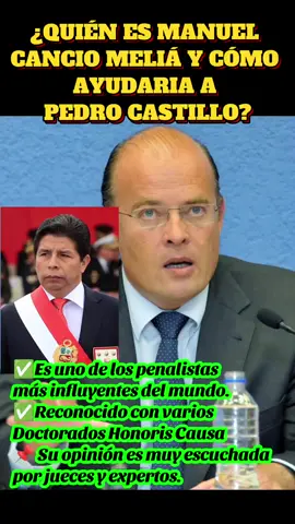 PEDRO CASTILLO PODRIA SALIR LIBRE ? estovpodría darse por la intervención  de MANUEL CANCIO MELIA , un reconocido e influyente del derecho penal en el mundo. #pedrocastillo #manuelcancio  #politicaperuana #noticiasperu #loultimo 
