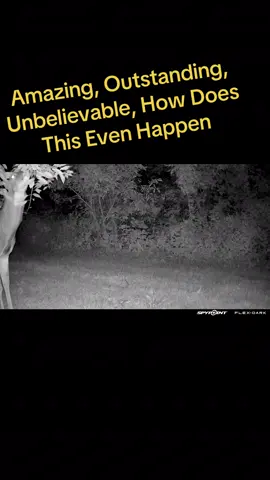#teamspypoint 