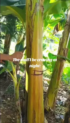 Joke ☕🗿 #meme #pinoymemes #punongsaging #foryou #fyp #joke #xyzcba #viral 
