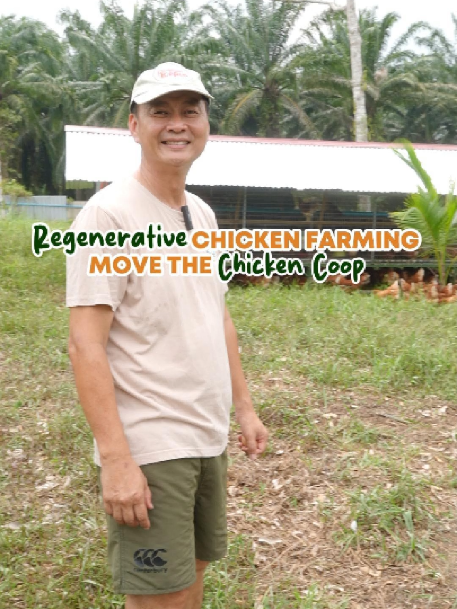 We move our chicken coop every 2 days. It’s the secret to regenerating soil on our farm! 🐓🌱 #regenerativefarmers #malaysia #chicken #chickenfarm #farm #chickencoop #holisticgrazing