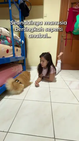 Gantian ya guys, biar Cleon ngerasain jadi cece sekali-kali 🤣 Kibble and immunity meat pack from @Majes Pet Store 