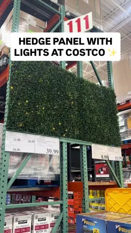 ✨ Hedge Panel with Lights at Costco! This artificial hedge panel measures in at 39.4”x39.4” and features LED lights! Perfect for sprucing up your outdoor patio area, balcony, and more! Get it for $39.99 #costco #hedgepanel 