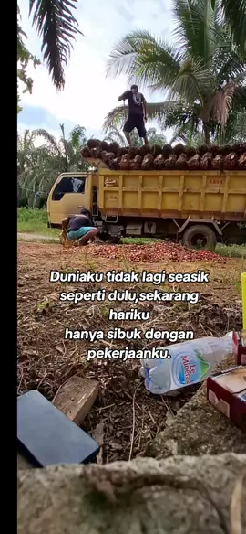 #masukberanda #fyppppppppppppppppppppppp #kalimantantimur #anakrantau #fypviralシ 