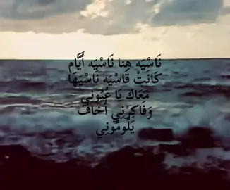 نَاسْيَه هِنا نَاسْيَه أَيَّام كَانَتْ قَاسْيَه نَاسْيَهَا مَعَاك يَا عُيُونِي وَفَاكِرْنِي أَخَاف يَلُومُونِي . #tiktok #unfrezzmyaccount 